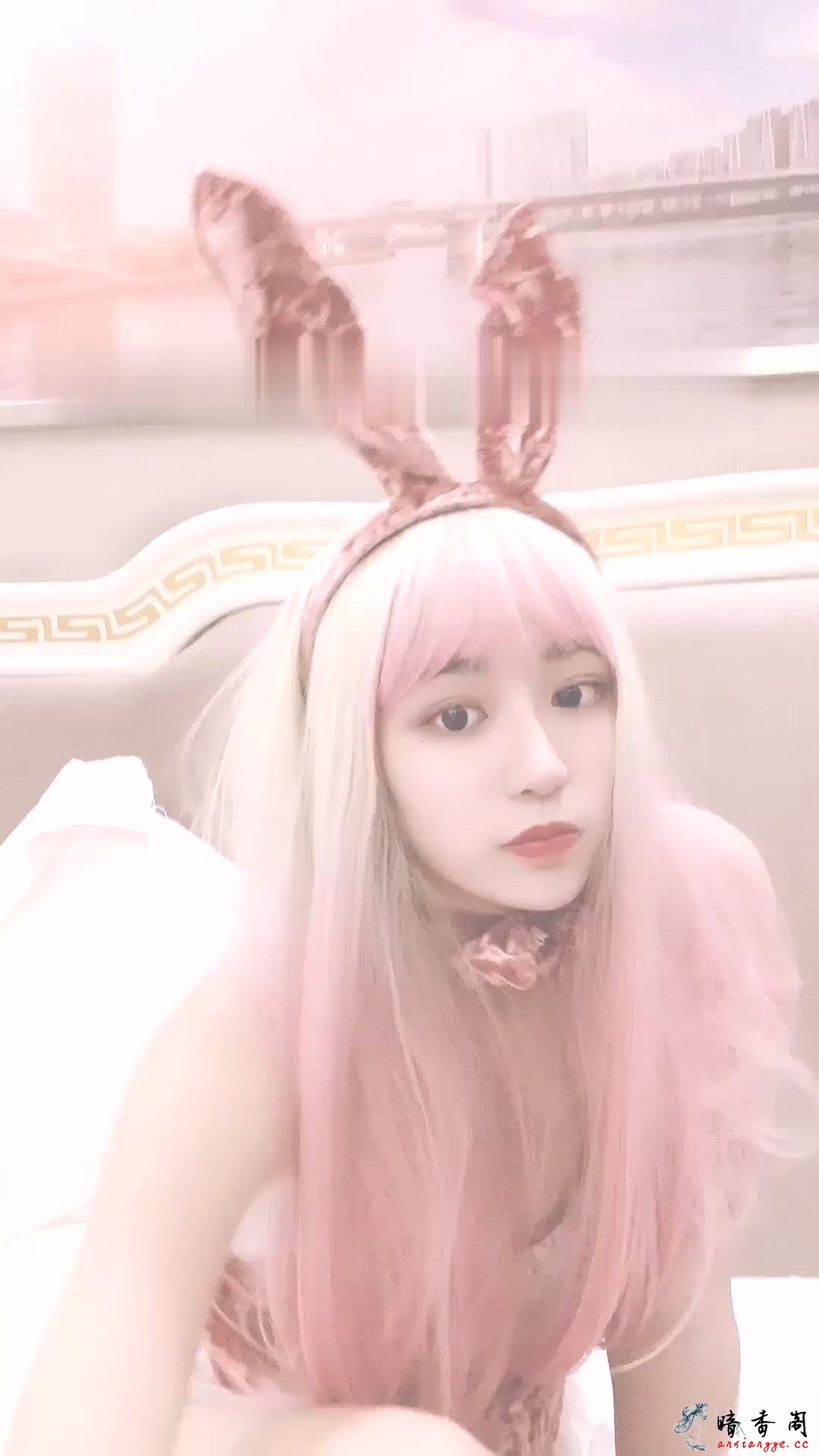 HiHSP2103097 (2).jpg