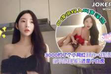 约一线城市小网红还是个白虎-7BOSS