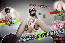 极品公交车的深度试驾评测-白菜妹妹